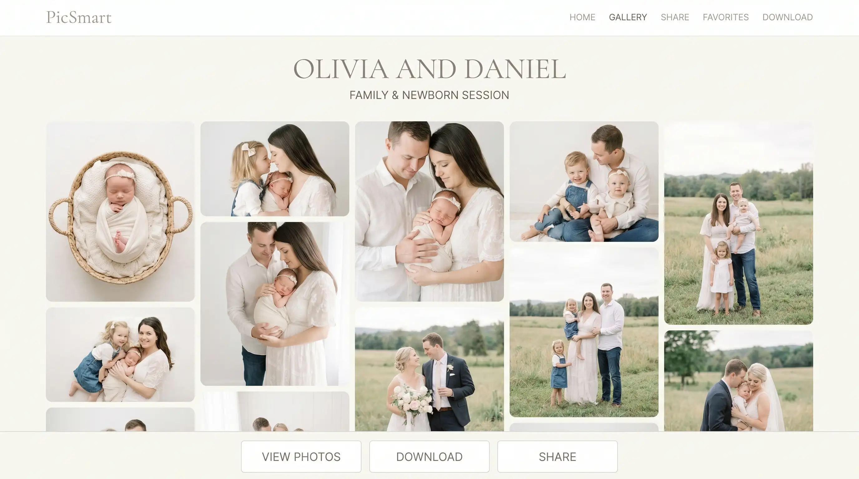 Premium bright gallery — desktop view